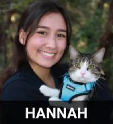 Hannah Holding a Gray Cat